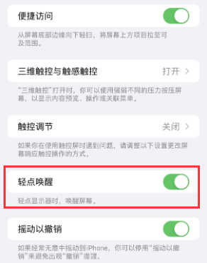 绥滨苹果授权维修站分享iPhone轻点无法唤醒怎么办 