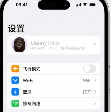 绥滨appleID维修服务iPhone设置中Apple ID显示为灰色无法使用 