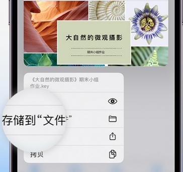 绥滨apple维修中心分享iPhone文件应用中存储和找到下载文件