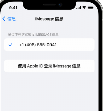 绥滨apple维修iPhone上无法正常发送iMessage信息 