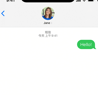 绥滨apple维修iPhone上无法正常发送iMessage信息