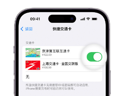 绥滨apple维修点分享iPhone上更换Apple Pay快捷交通卡手绘卡面 