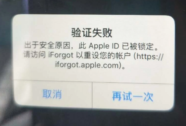 绥滨iPhone维修分享iPhone上正常登录或使用AppleID怎么办 