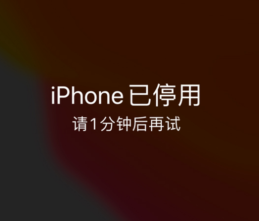 绥滨苹果手机维修分享:iPhone 显示“不可用”或“已停用”怎么办？还能保留数据吗？ 