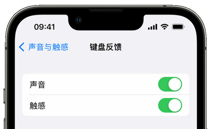 绥滨苹果手机维修分享iPhone 14触感键盘使用方法 