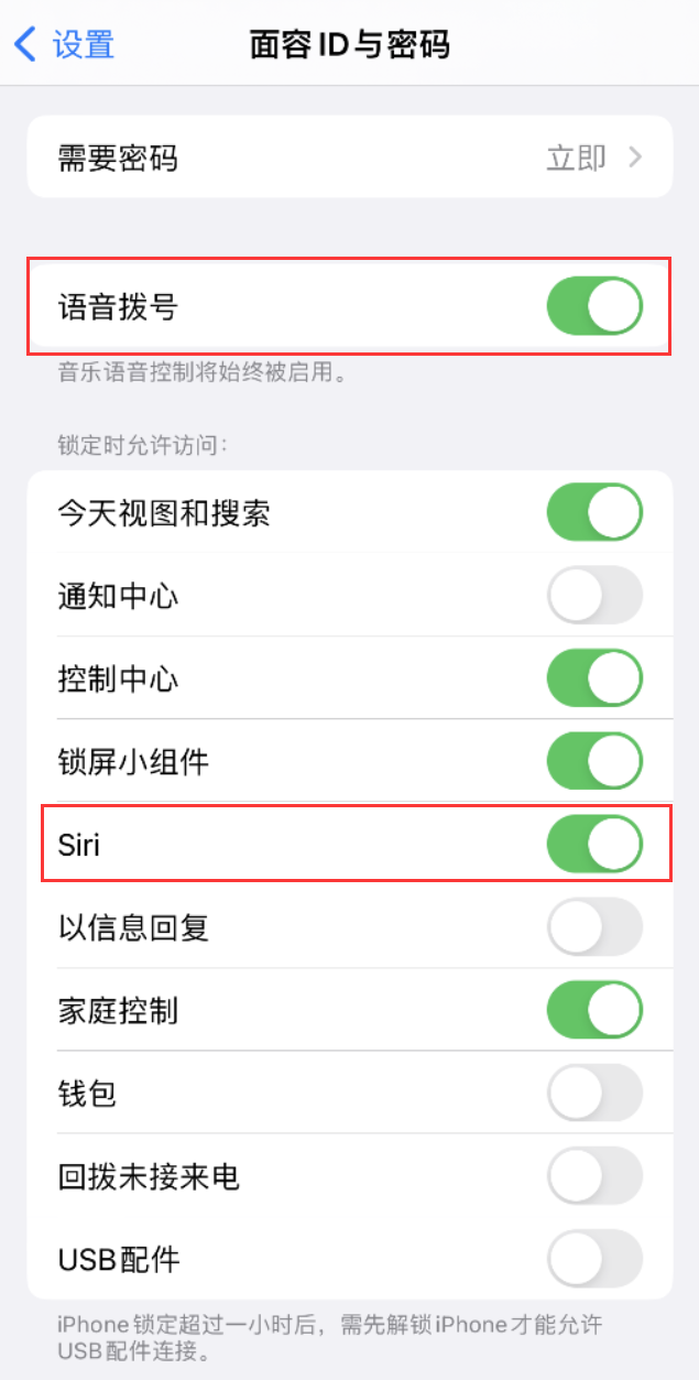 绥滨苹果维修网点分享不解锁 iPhone 的情况下通过 Siri 拨打电话的方法 