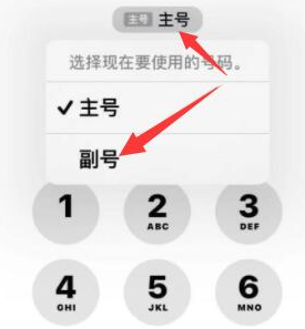 绥滨苹果14维修店分享iPhone 14 Pro Max使用副卡打电话的方法 