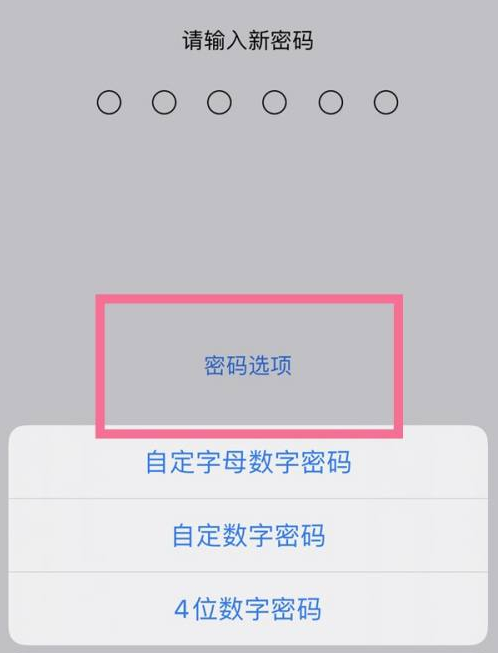 绥滨苹果14维修分享iPhone 14plus设置密码的方法 