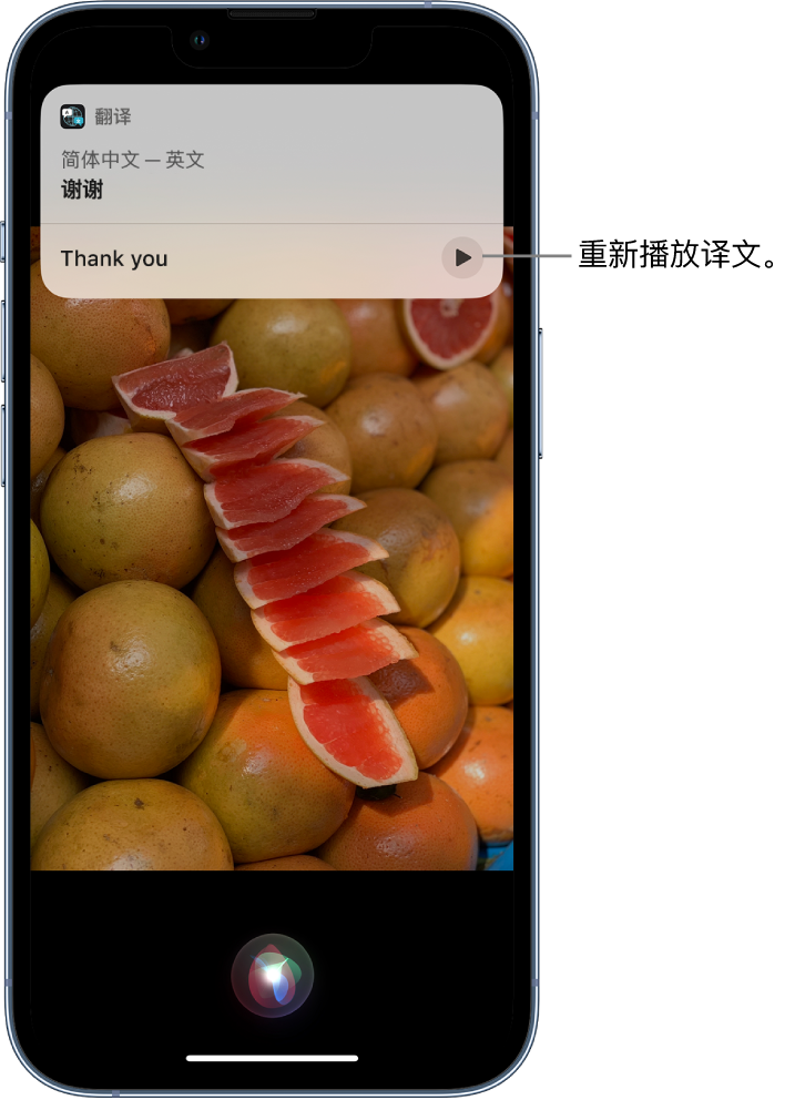 绥滨苹果14维修分享 iPhone 14 机型中使用 Siri：了解 Siri 能帮你做什么 