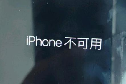 绥滨苹果服务网点分享锁屏界面显示“iPhone 不可用”如何解决 