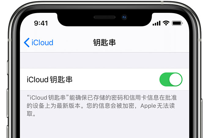 绥滨苹果手机维修分享在 iPhone 上开启 iCloud 钥匙串之后会储存哪些信息 